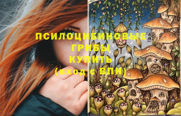 ALPHA-PVP Дмитриев